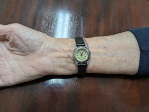 A Sharp. Waterproof to 100 feet. Battery operated. Japanese Movement. I've had it for many years . It's 2nd hand given to me by someone in my classes. Old Trusty.! I've not taken it into 100 feet of water!!! Yet.